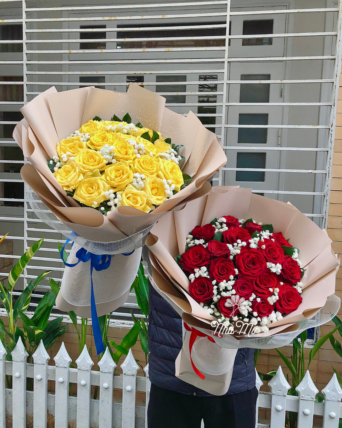 hoasinhnhat1.png