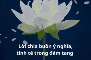 Gợi ý 99+ lời thành kính chia buồn cùng gia đình ý nghĩa, ngắn gọn