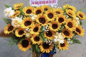 Ngày 20/11 là ngày gì? Nguồn gốc, ý nghĩa Ngày Nhà giáo Việt Nam 20/11