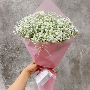 Bó hoa Baby trắng tinh khôi